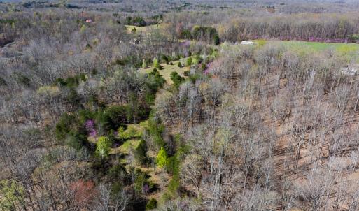 Photo #36 of Off Rice Road, Reidsville, NC 40.0 acres