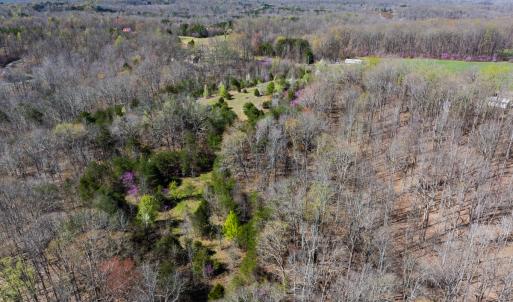 Photo #36 of SOLD property in Off Rice Road, Reidsville, NC 40.0 acres