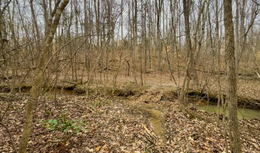 Photo #37 of SOLD property in Off Rice Road, Reidsville, NC 40.0 acres