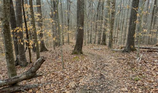 Photo #39 of SOLD property in Off Rice Road, Reidsville, NC 40.0 acres