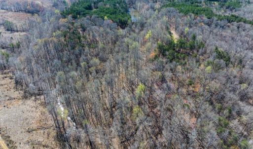 Photo #40 of SOLD property in Off Rice Road, Reidsville, NC 40.0 acres