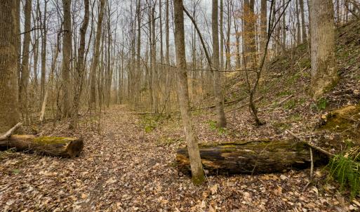 Photo #42 of SOLD property in Off Rice Road, Reidsville, NC 40.0 acres