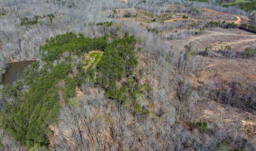 Photo #44 of SOLD property in Off Rice Road, Reidsville, NC 40.0 acres