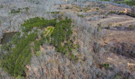 Photo #44 of Off Rice Road, Reidsville, NC 40.0 acres