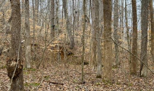 Photo #46 of SOLD property in Off Rice Road, Reidsville, NC 40.0 acres