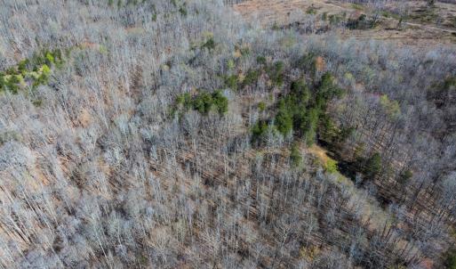 Photo #47 of SOLD property in Off Rice Road, Reidsville, NC 40.0 acres