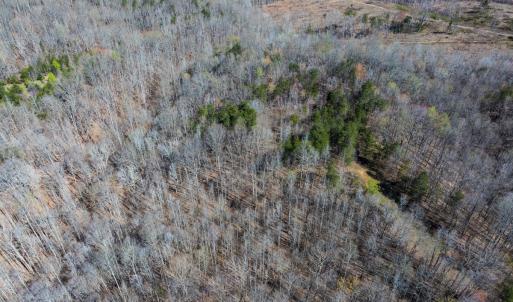 Photo #47 of Off Rice Road, Reidsville, NC 40.0 acres