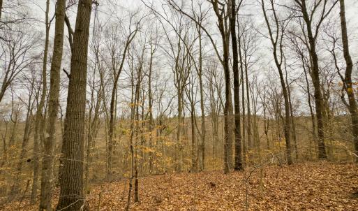 Photo #49 of Off Rice Road, Reidsville, NC 40.0 acres