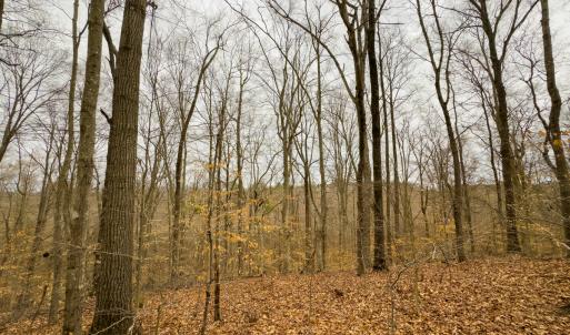 Photo #49 of SOLD property in Off Rice Road, Reidsville, NC 40.0 acres