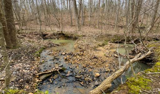 Photo #50 of SOLD property in Off Rice Road, Reidsville, NC 40.0 acres