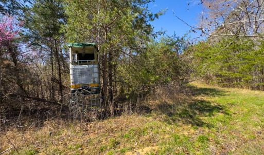 Photo #52 of SOLD property in Off Rice Road, Reidsville, NC 40.0 acres