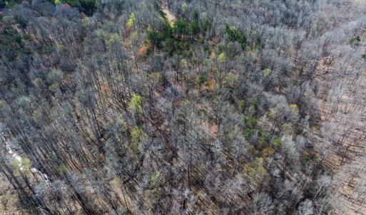 Photo #53 of SOLD property in Off Rice Road, Reidsville, NC 40.0 acres