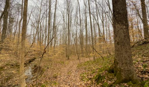 Photo #54 of SOLD property in Off Rice Road, Reidsville, NC 40.0 acres