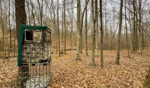 Photo #55 of SOLD property in Off Rice Road, Reidsville, NC 40.0 acres