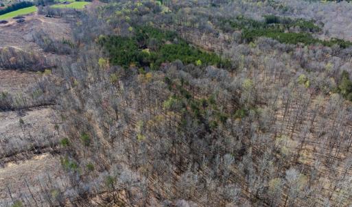 Photo #56 of SOLD property in Off Rice Road, Reidsville, NC 40.0 acres