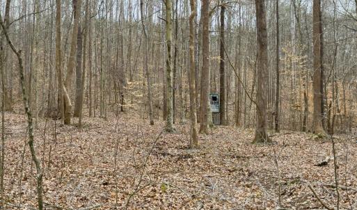 Photo #57 of SOLD property in Off Rice Road, Reidsville, NC 40.0 acres