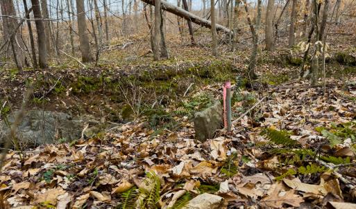 Photo #58 of SOLD property in Off Rice Road, Reidsville, NC 40.0 acres