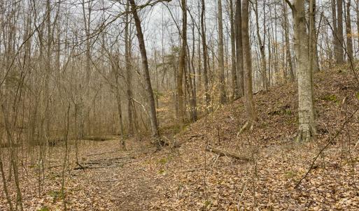 Photo #59 of SOLD property in Off Rice Road, Reidsville, NC 40.0 acres