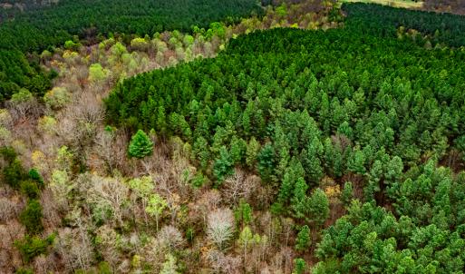 Photo #3 of SOLD property in Off Coopers Mountain Rd, Martinsville, VA 36.4 acres
