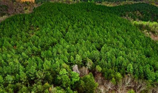 Photo #4 of SOLD property in Off Coopers Mountain Rd, Martinsville, VA 36.4 acres