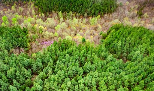Photo #6 of SOLD property in Off Coopers Mountain Rd, Martinsville, VA 36.4 acres