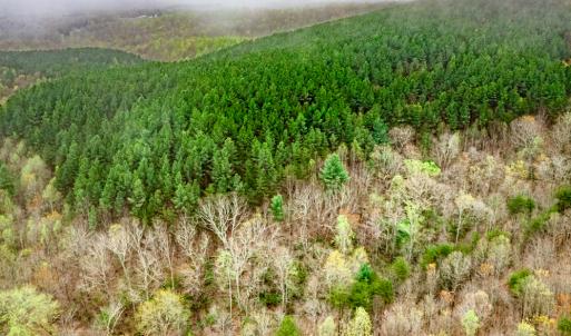 Photo #8 of Off Coopers Mountain Rd, Martinsville, VA 36.4 acres