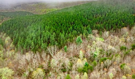 Photo #8 of SOLD property in Off Coopers Mountain Rd, Martinsville, VA 36.4 acres