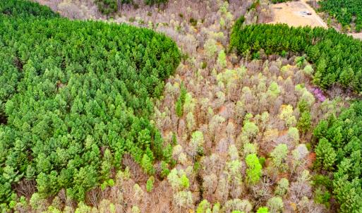 Photo #9 of SOLD property in Off Coopers Mountain Rd, Martinsville, VA 36.4 acres