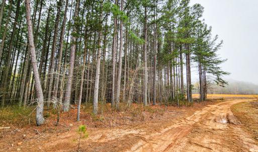 Photo #11 of SOLD property in Off Coopers Mountain Rd, Martinsville, VA 36.4 acres