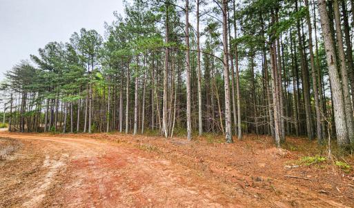 Photo #12 of SOLD property in Off Coopers Mountain Rd, Martinsville, VA 36.4 acres