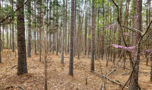 Photo #16 of SOLD property in Off Coopers Mountain Rd, Martinsville, VA 36.4 acres