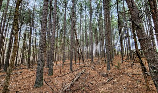 Photo #17 of SOLD property in Off Coopers Mountain Rd, Martinsville, VA 36.4 acres