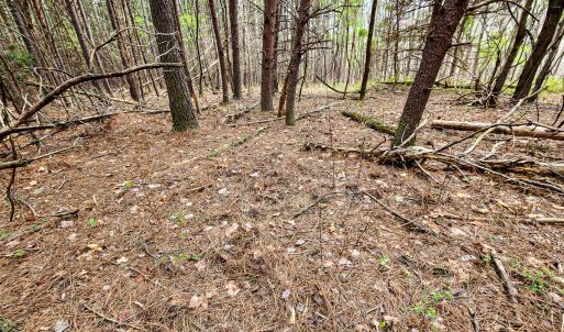Photo #18 of Off Coopers Mountain Rd, Martinsville, VA 36.4 acres