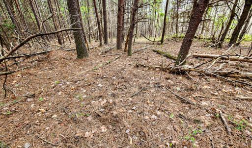 Photo #18 of SOLD property in Off Coopers Mountain Rd, Martinsville, VA 36.4 acres