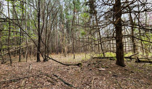 Photo #19 of SOLD property in Off Coopers Mountain Rd, Martinsville, VA 36.4 acres
