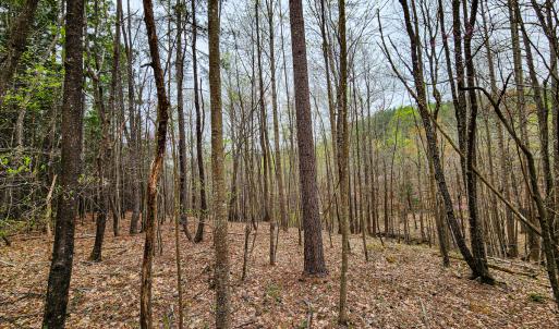 Photo #21 of SOLD property in Off Coopers Mountain Rd, Martinsville, VA 36.4 acres