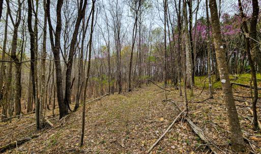 Photo #22 of SOLD property in Off Coopers Mountain Rd, Martinsville, VA 36.4 acres
