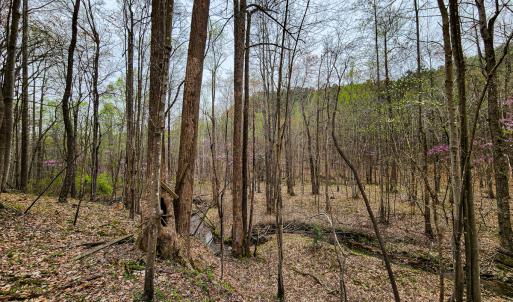 Photo #23 of SOLD property in Off Coopers Mountain Rd, Martinsville, VA 36.4 acres