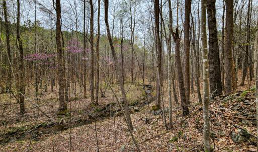 Photo #24 of SOLD property in Off Coopers Mountain Rd, Martinsville, VA 36.4 acres