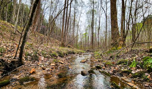 Photo #26 of SOLD property in Off Coopers Mountain Rd, Martinsville, VA 36.4 acres