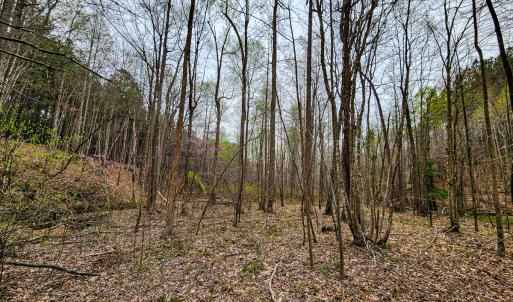 Photo #27 of SOLD property in Off Coopers Mountain Rd, Martinsville, VA 36.4 acres