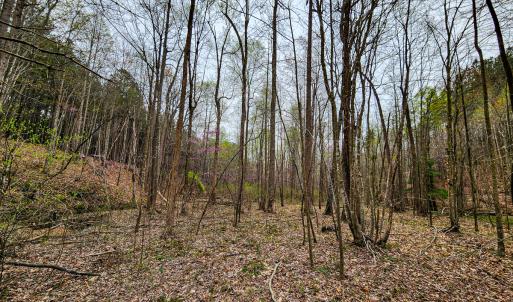 Photo #27 of Off Coopers Mountain Rd, Martinsville, VA 36.4 acres