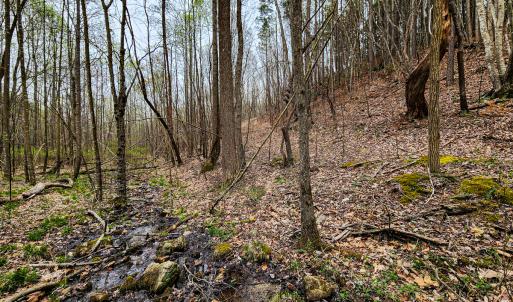 Photo #29 of SOLD property in Off Coopers Mountain Rd, Martinsville, VA 36.4 acres