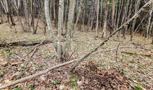 Photo #30 of SOLD property in Off Coopers Mountain Rd, Martinsville, VA 36.4 acres