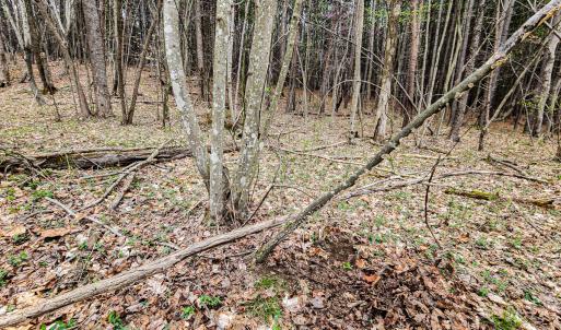 Photo #30 of Off Coopers Mountain Rd, Martinsville, VA 36.4 acres