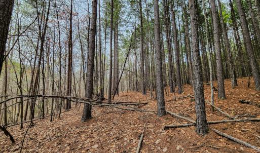 Photo #31 of Off Coopers Mountain Rd, Martinsville, VA 36.4 acres