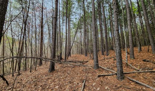 Photo #31 of SOLD property in Off Coopers Mountain Rd, Martinsville, VA 36.4 acres