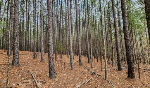Photo #32 of SOLD property in Off Coopers Mountain Rd, Martinsville, VA 36.4 acres