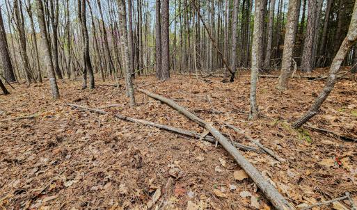 Photo #33 of SOLD property in Off Coopers Mountain Rd, Martinsville, VA 36.4 acres