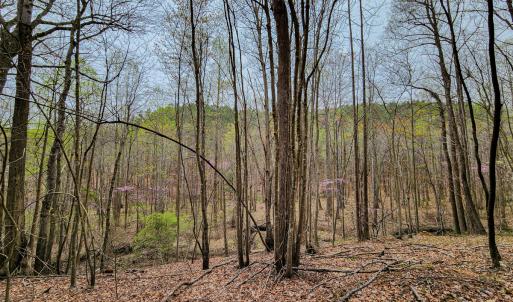 Photo #34 of SOLD property in Off Coopers Mountain Rd, Martinsville, VA 36.4 acres